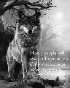 a wolf standing on top of a tree branch with a quote about people will walk into your life, only special ones leave footprints