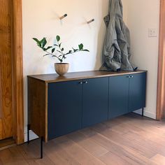 a plant is sitting on top of a cabinet