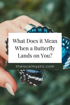 a hand holding a blue butterfly with the words what does it mean when a butterfly lands on you?