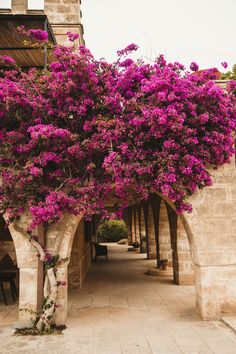 purple flowers are growing on the side of an old stone building with arched doorways