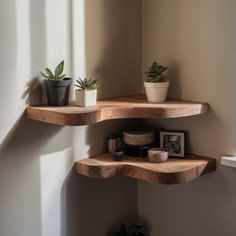 two wooden shelves with plants on them next to a potted succulent plant