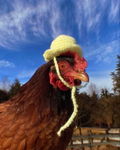 a close up of a chicken wearing a hat