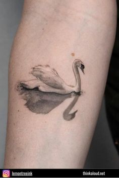 a watercolor swan tattoo on the arm