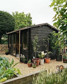 a small black shed with potted plants in it