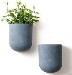 two planters with plants in them on a white wall next to eachother