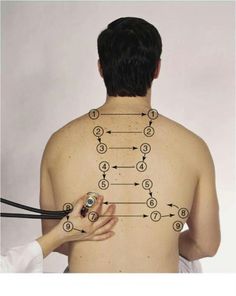 a man with a stethoscope on his back and arrows pointing to different areas