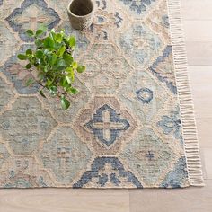 a potted plant sitting on top of a rug