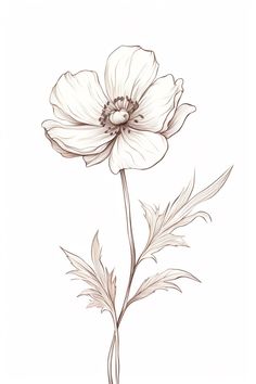 a drawing of a white flower on a white background