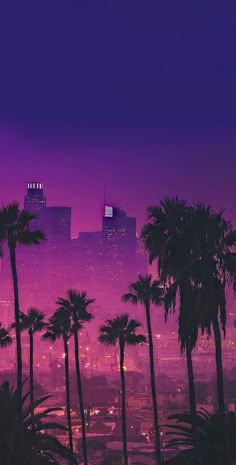 palm trees and buildings in the background at night with purple hues overcast sky