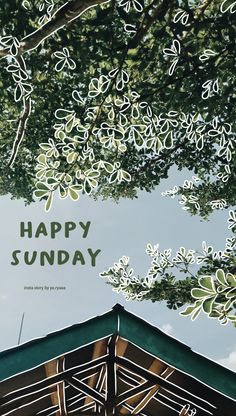 the words happy sunday are written in green and white on a blue sky background with trees