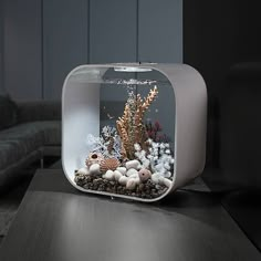 an aquarium with rocks and seaweed in it sitting on a table next to a couch