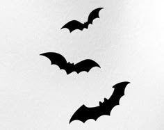 three bats are flying in the sky