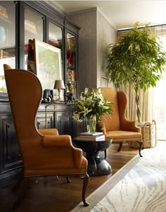 a living room filled with furniture and a potted plant