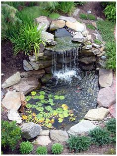 a small pond surrounded by rocks and water lilies