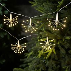 christmas lights hanging from the branches of a tree