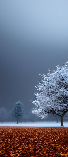 a lone tree stands in the middle of a field covered with leaves on a foggy day