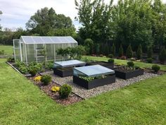 an outdoor garden area with various plants and flowers in the center, surrounded by green grass