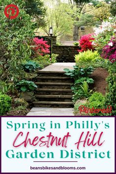 steps leading up to a garden with flowers and trees in the background, text reads spring in philly's chesnut hill garden district