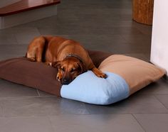 Hundekissen in perfekter Qualität. Dog Pillows, Bed Cushion, Bed Cushions