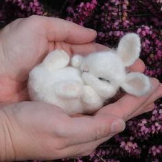 a person is holding some white wool in their hands with purple flowers behind them on the ground