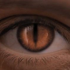 a close up view of an orange colored eye