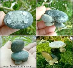 four different pictures of rocks with moss growing on them and in the middle one is a mushroom