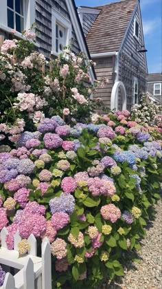 the flowers are blooming on the side of the house