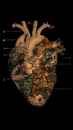 an image of the human heart on a black background