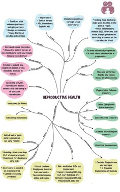 a mind map with the words reproductive health on it