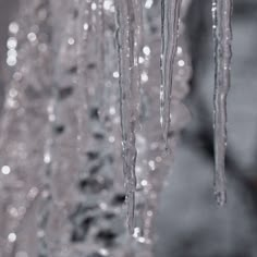 icicles are hanging from the ceiling in this black and white photo with water droplets