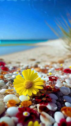 a yellow flower sitting on top of a sandy beach