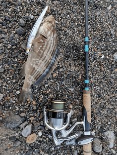 a fishing rod with a fish on the ground next to it