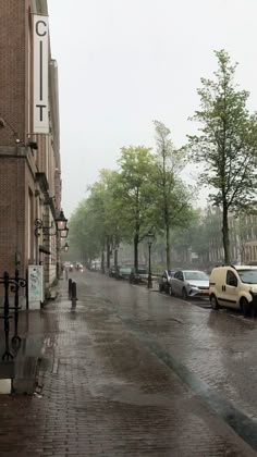 cars are parked on the side of the road in the rain, with trees lining the street