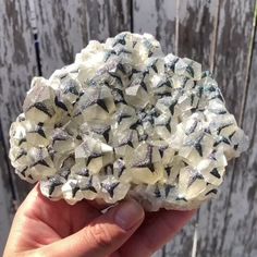 a person holding up a rock with white and black rocks on it