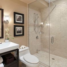 a white toilet sitting next to a walk in shower under a bathroom mirror above a sink