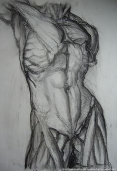 a drawing of a woman's torso in black and white