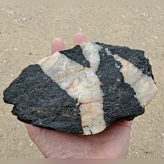 a hand holding a piece of black rock with white stripes on it's surface