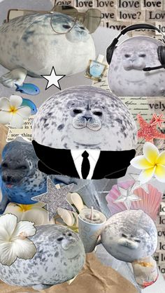 a collage of sea animals wearing headphones and suits with flowers in the background