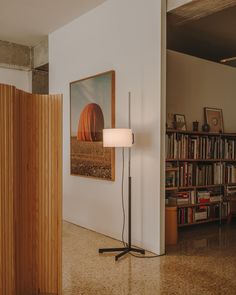 a floor lamp in front of a bookcase with bookshelves and a painting on the wall