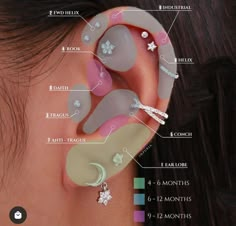 the parts of a woman's ear are shown with their names and description on it