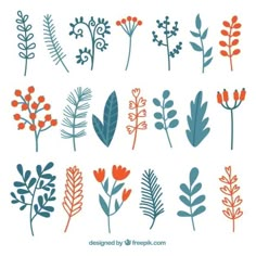 different types of plants and leaves on a white background with blue, orange and red colors