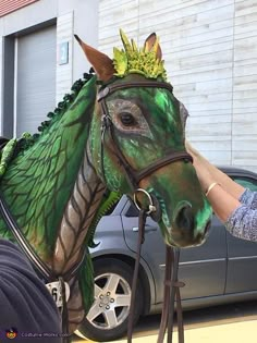 a person is petting a green horse