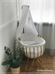 a baby crib in the corner of a room with a potted plant next to it