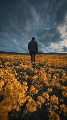 a man standing in a field of yellow flowers under a cloudy sky with dark clouds