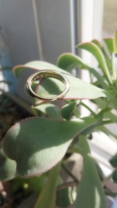 Pinky Promise Ring: Gold Plated – Edge of Urge Bf Mood, Pinky Promise Ring, Promise Ring Gold, Cute Promise Rings, Gold Promise Rings, Pinky Promise, Wilmington Nc, Ring Gold, Promise Ring