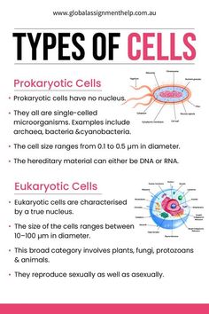 the types of cells are labeled in this poster, which shows their names and functions