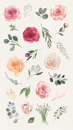 watercolor roses and greenery on white paper