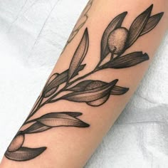 an olive branch tattoo on the arm