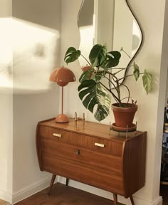 a plant is sitting on top of a wooden dresser next to a mirror and lamp