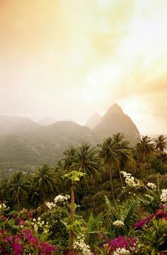 the mountains are covered with palm trees and flowers